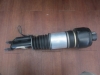 Mercedes Benz - Strut - Shock - 211